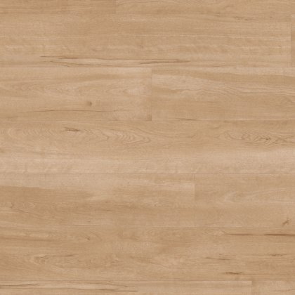 Birch VGW84T