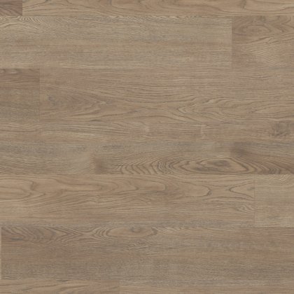 Budelli PVP146